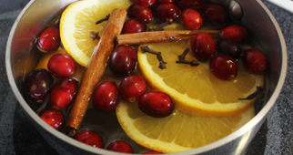 3 Stovetop Holiday Potpourri Recipes | Making Your Home Smell Like The Holidays